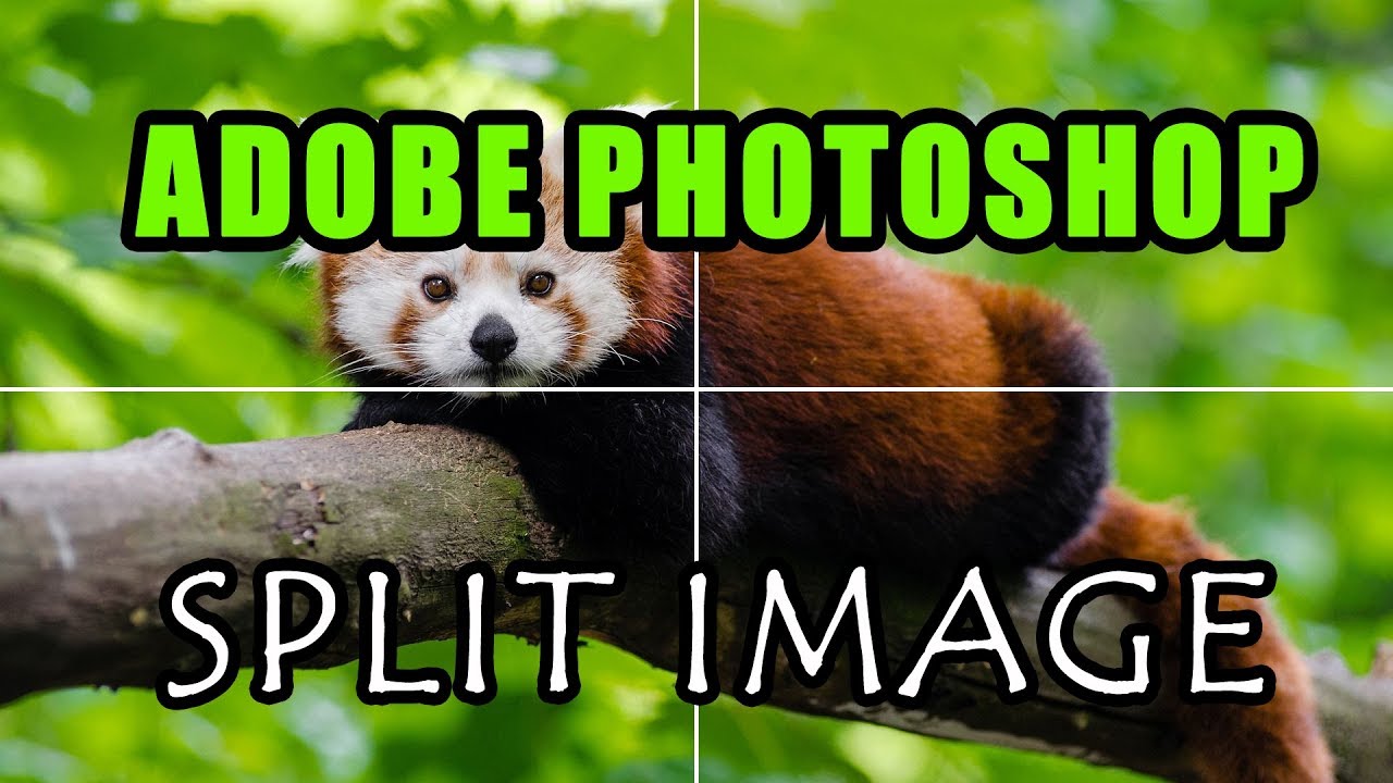 Adobe Photoshop Tutorial - Split Image