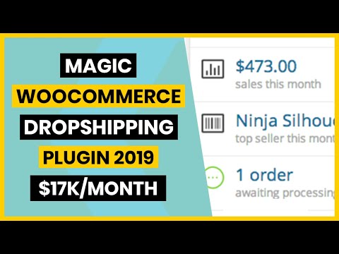 $17k/Month Best Woocommerce Dropshipping Plugin 2020