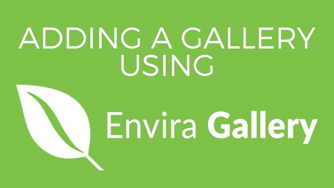 Adding a Gallery to Your Site with Envira Gallery (Featured Plugin)
