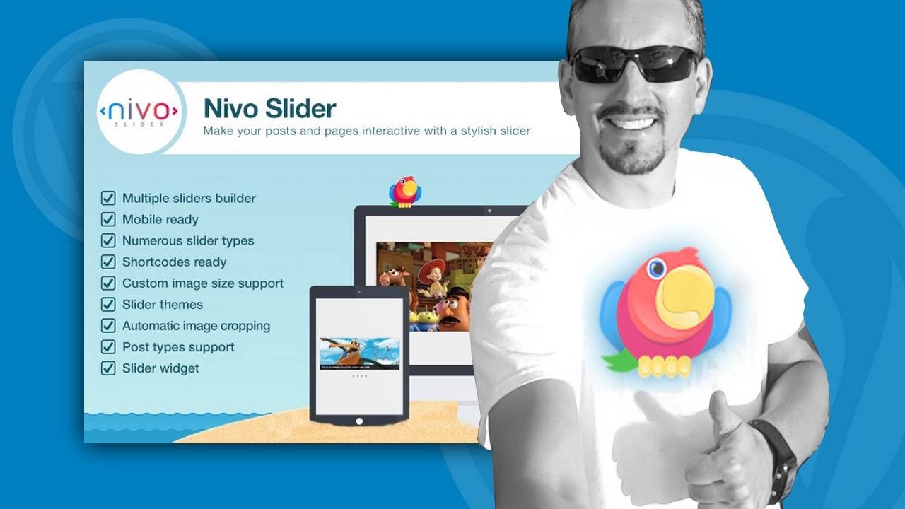 WordPress Slider Plugin Free: How To Get Started With Nivo Slider