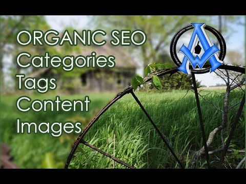 ORGANIC SEARCH ENGINE OPTIMIZATION TECHNIQUES TUTORIAL