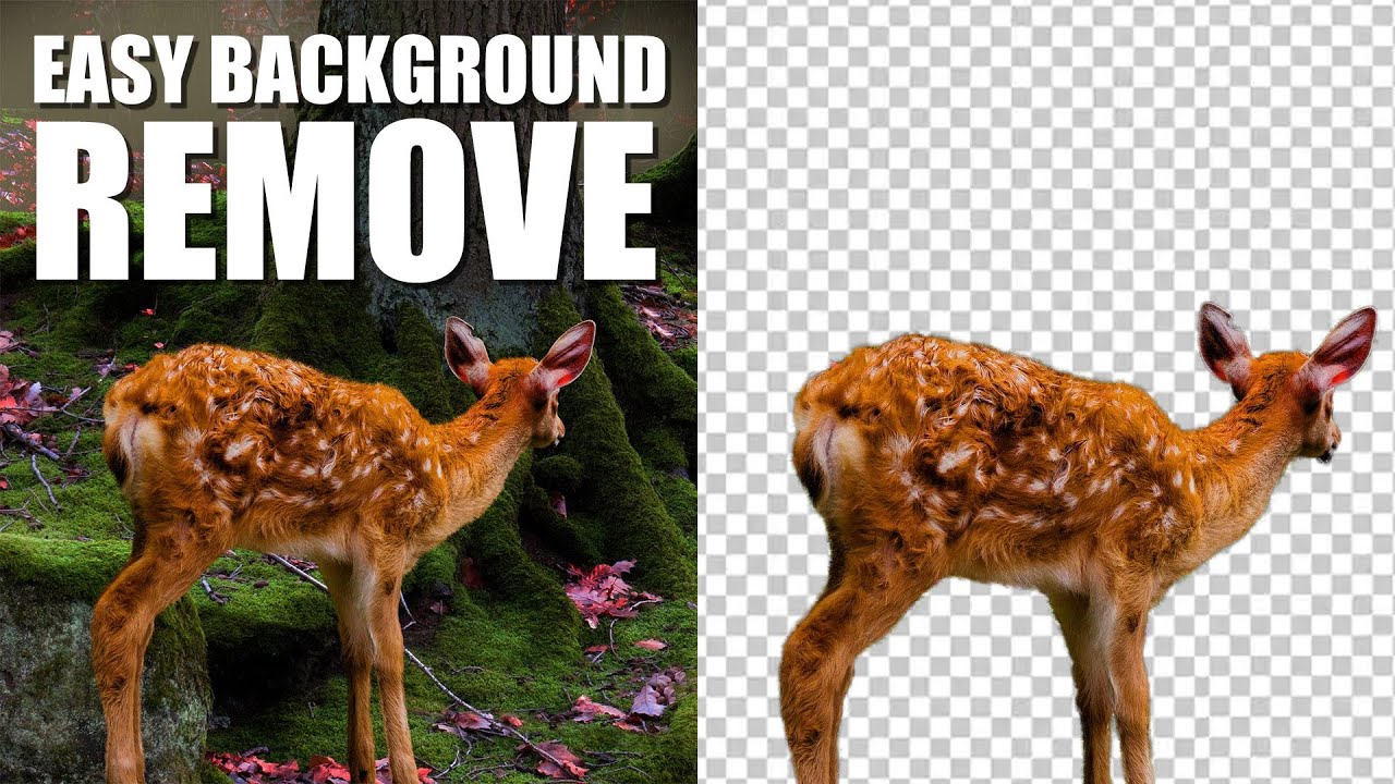 Photoshop Tutorial 2020 | The EASY Background Remover Hidden Tips in Photoshop