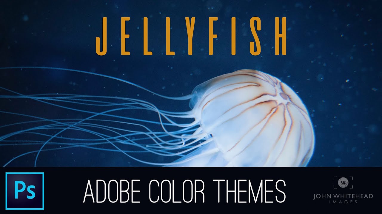 Adobe Color Themes in Adobe Photoshop