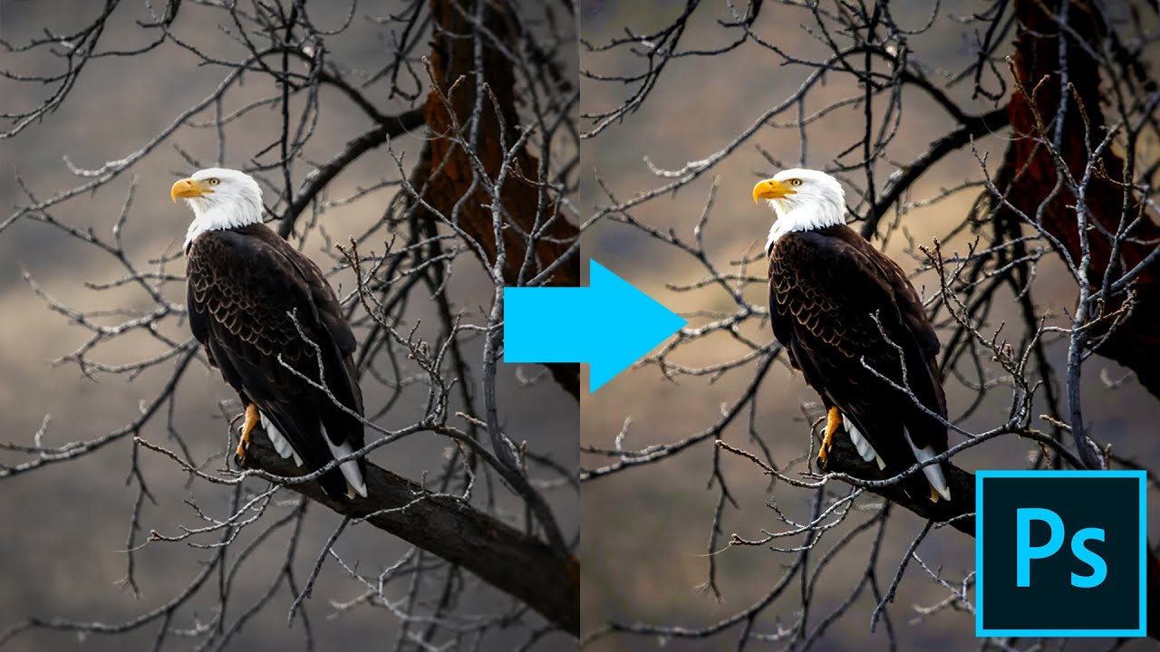 Enhance Colors of an Image in Adobe Photoshop using this simple Trick