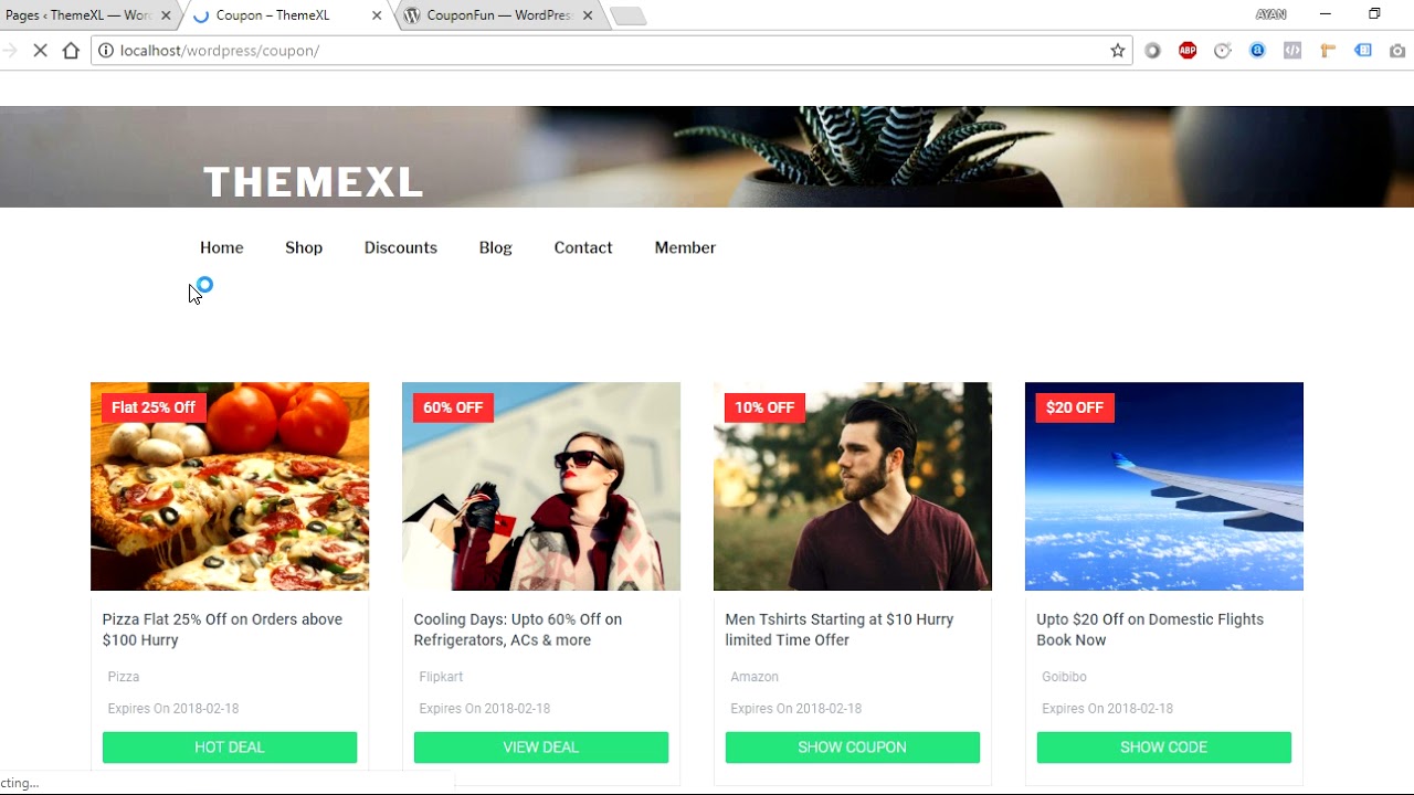 CouponFun WordPress Coupon Plugin by ThemeXL.com