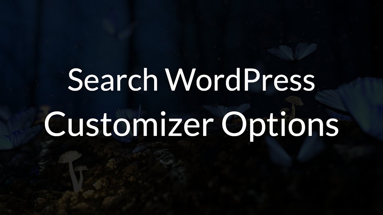 Customizer Search WordPress Plugin