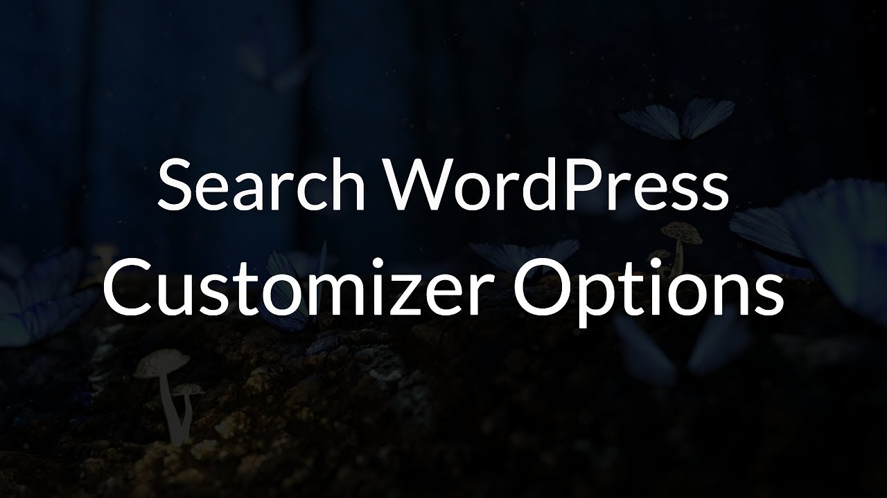 Customizer Search WordPress Plugin