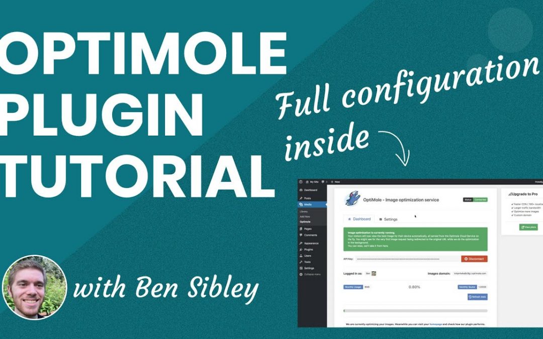 How to Use the OptiMole Plugin to Speed Up Your WordPress Site