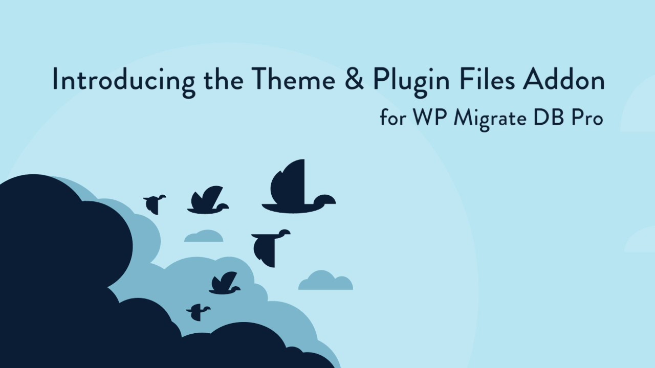 Migrating WordPress Theme and Plugin Files with the Theme & Plugin Files Addon for WP Migrate DB Pro