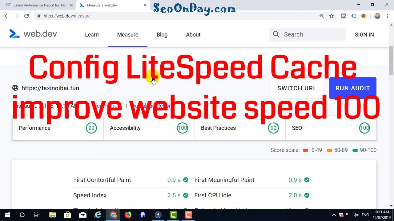 [SEO Tips]9.Config LiteSpeed Cache improve website speed 100