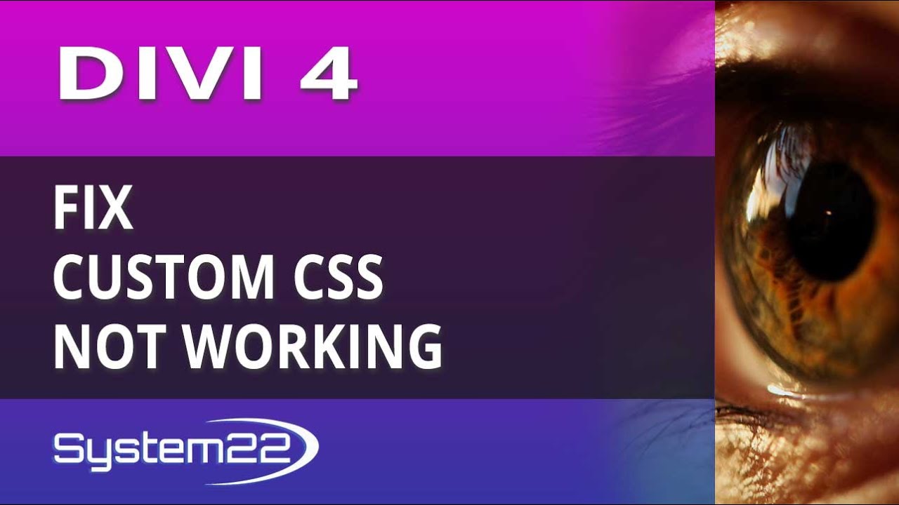 Divi 4 Fix Custom CSS Not Working
