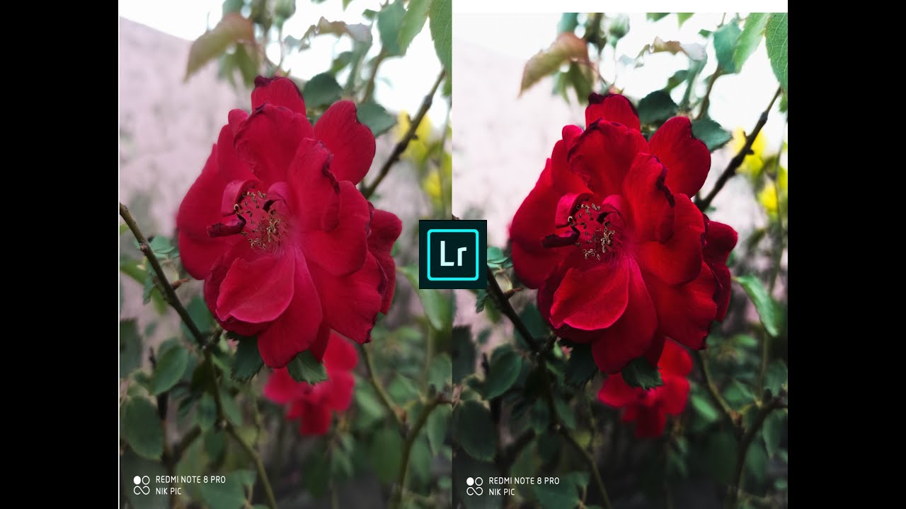 adobe lightroom photo editing tutorial adobe lightroom photo editing tutorial