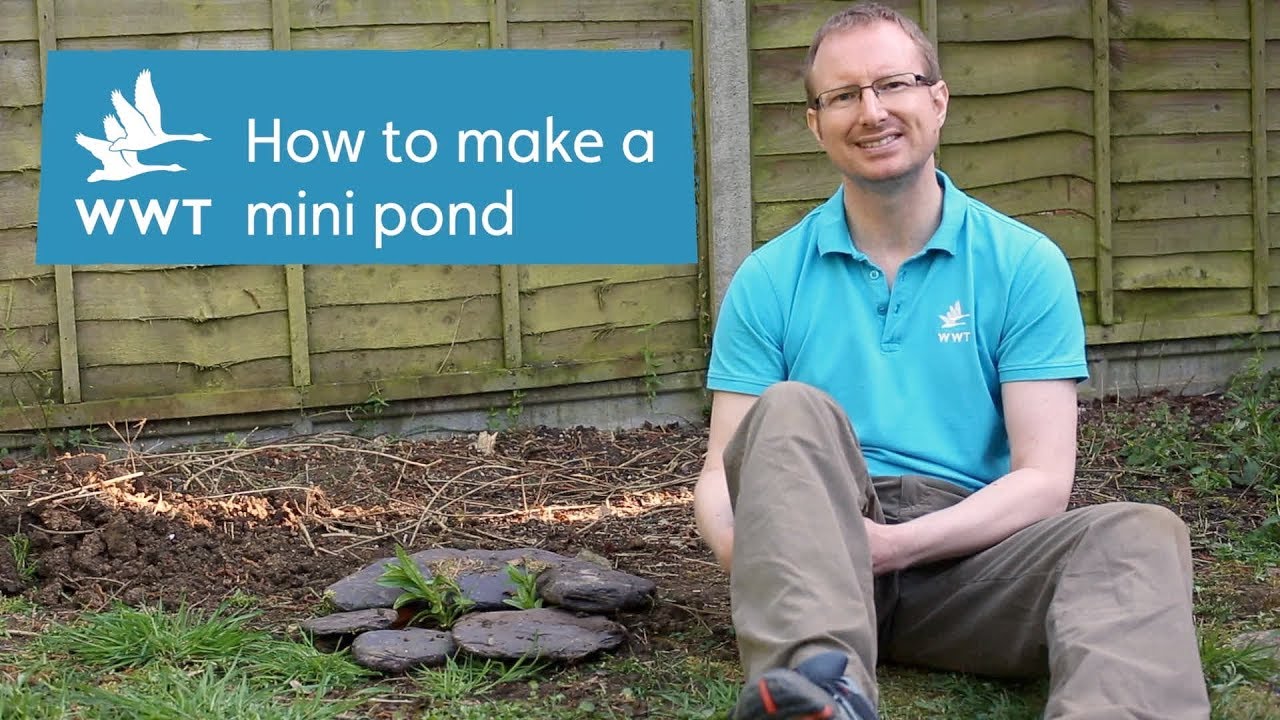 How to make your own mini-pond from a container | WWT