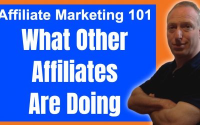 search engine optimization tips – Affiliate Marketing 101 What Other Affiliates Are Doing