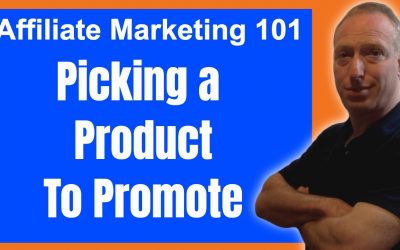 search engine optimization tips – Affiliate Marketing101: Picking a Product to Promote