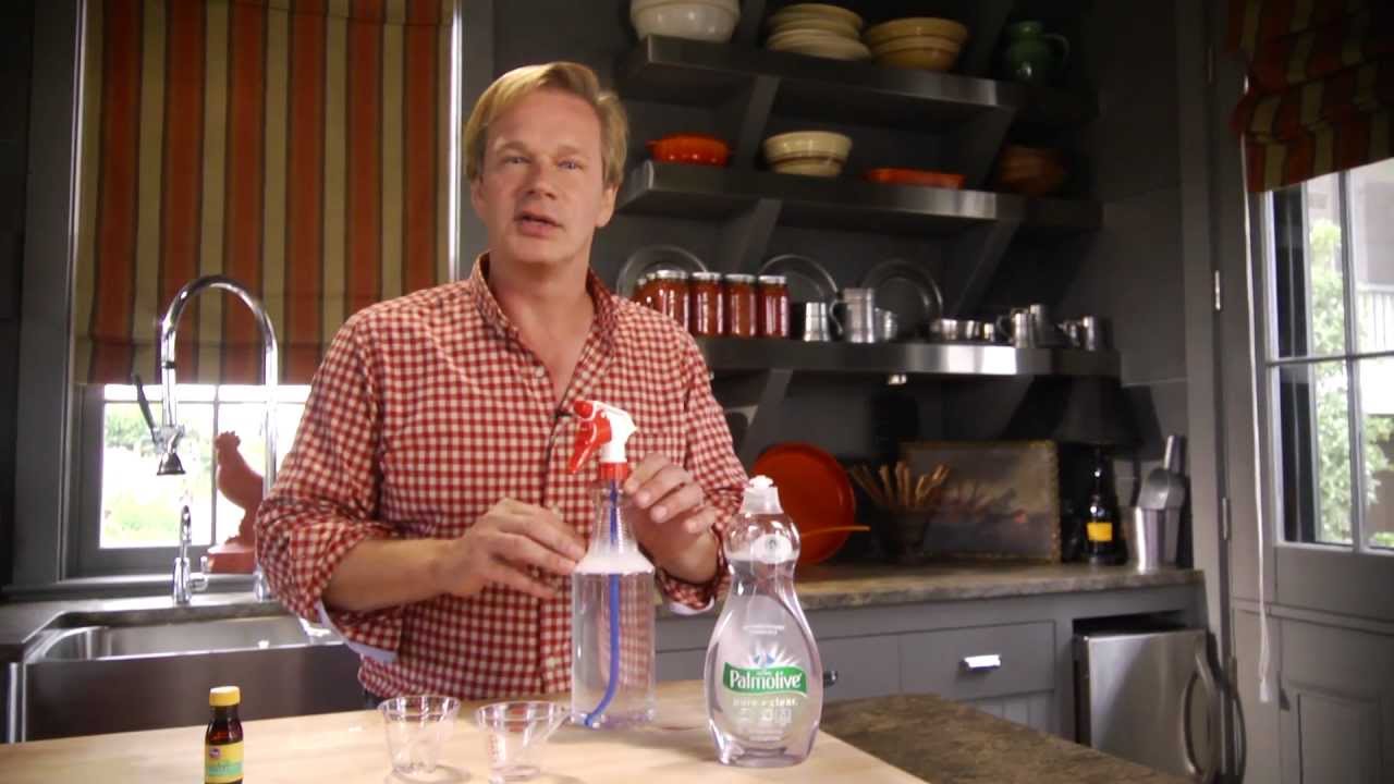 How to Make Spider Repellent | At Home With P. Allen Smith