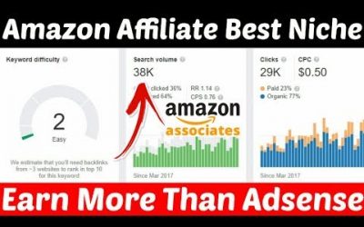 search engine optimization tips – Most Profitable Amazon Affilate Niche 2020 | Earn $500 Monthly From Amazon Affilaite Best Niche Blog