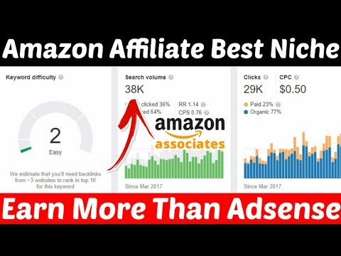 Most Profitable Amazon Affilate Niche 2020 | Earn $500 Monthly From Amazon Affilaite Best Niche Blog