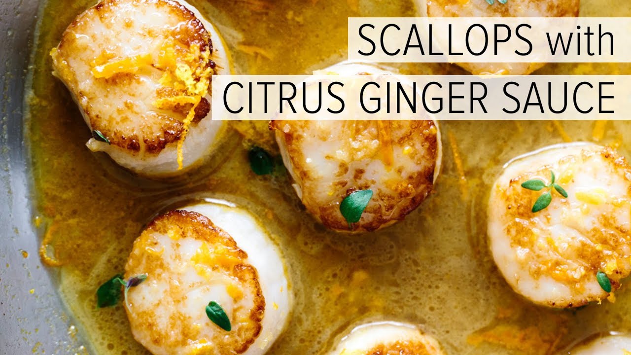 SCALLOPS with CITRUS GINGER SAUCE | how to cook scallops