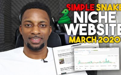 search engine optimization tips – This Simple "SNAKE" Niche Site Makes $$$/pm With Amazon Affiliate Marketing (EP 6)