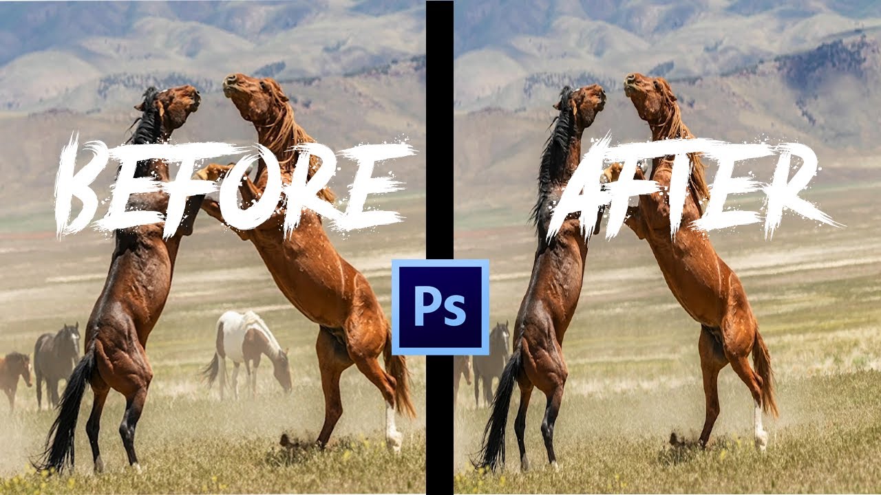 How To Hide unwanted content with the Patch tool Adobe Photoshop Tutorial