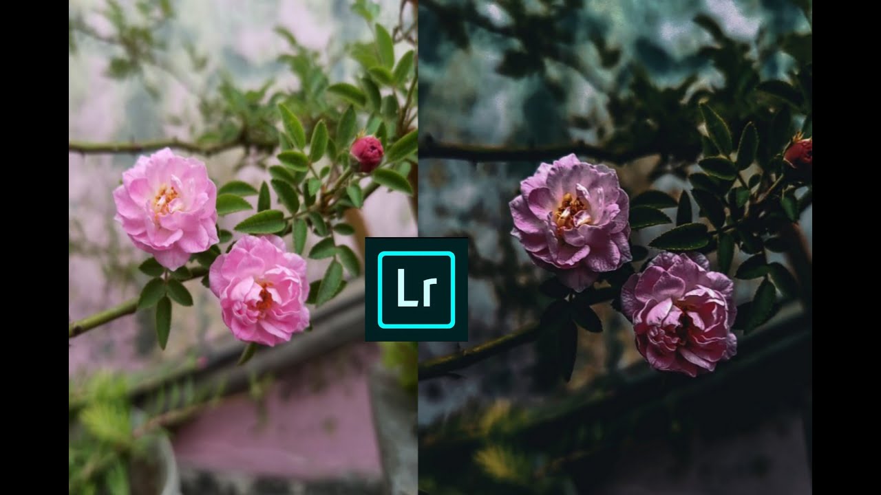Adobe Photoshop Lightroom Editing! | LIGHTLOOM Tutorial