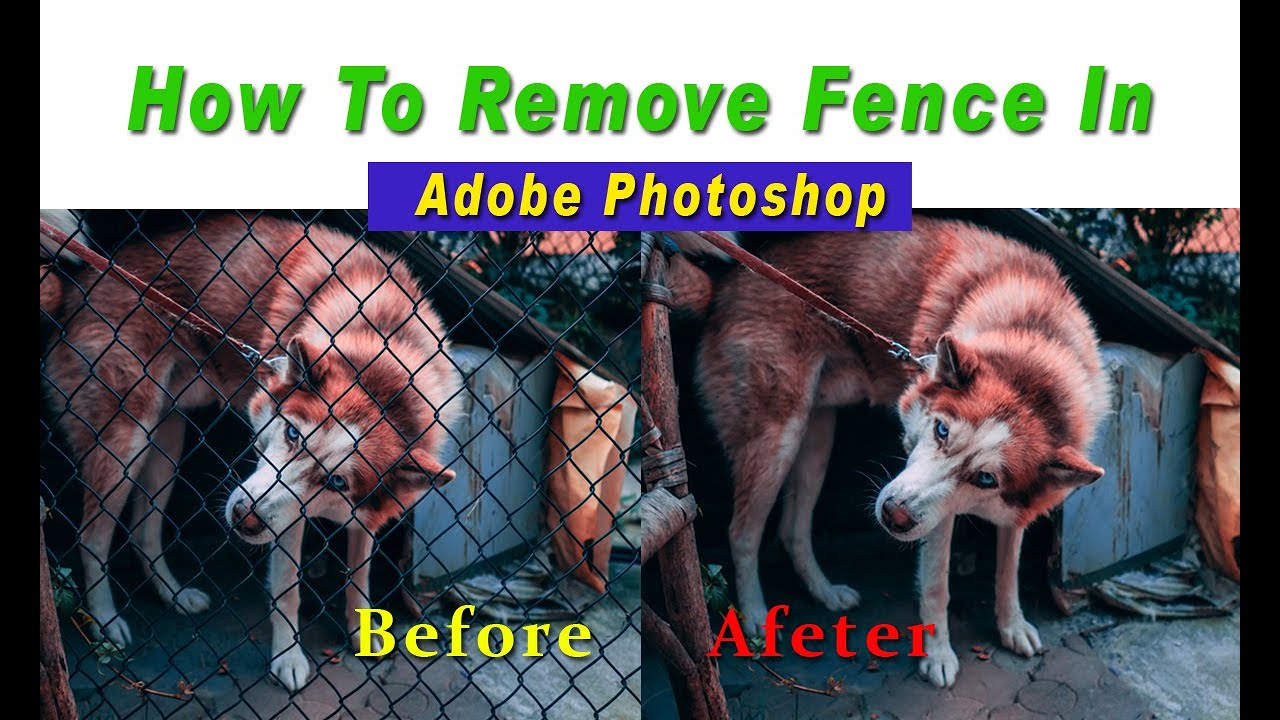 How To Remove Fence In | Adobe Photoshop | Quick & Easy | Urdu/Hindi | 2020 |