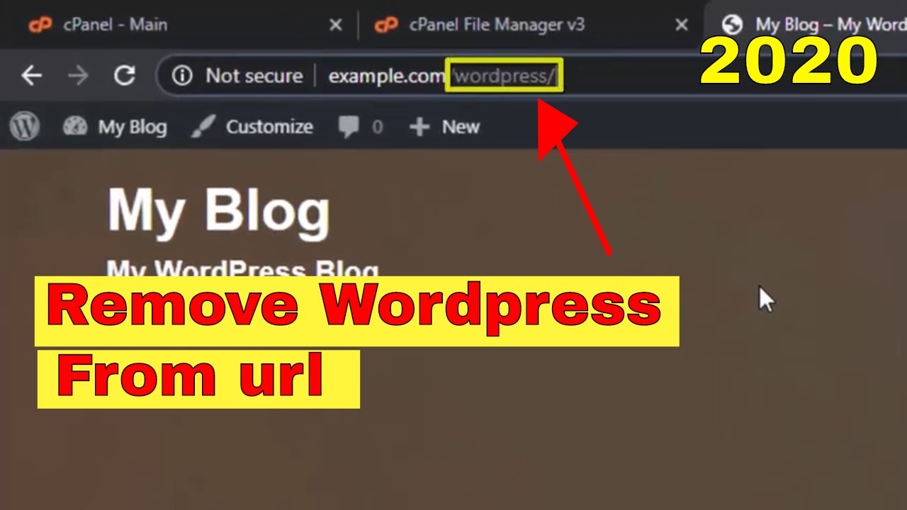 [2020] How to remove /wordpress /wp from wordpress website or blog url