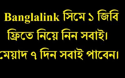 search engine optimization tips – Banglalink 1 GB Internet Free For All Users|| Banglalink Free MB 2020||BL free Net||