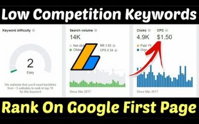 search engine optimization tips – Low Competition Keywords For Micro Niche Blog | High CPC Low Competition Keywords | Micro Niche Blog