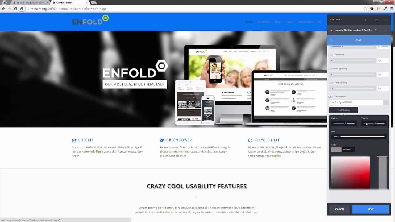 CSS Hero and Enfold WordPress Theme