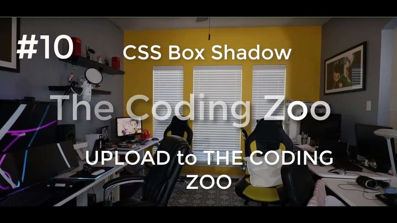 Learn HTML, CSS, and JavaScript -   Box Shadow, Uploading to Coding Zoo - Lesson 10 for Beginners