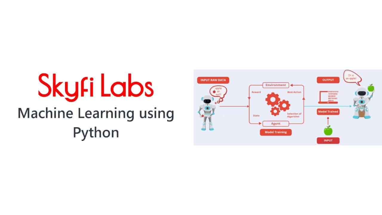 Develop a Machine Learning Project using Python - Skyfi Labs Online Course
