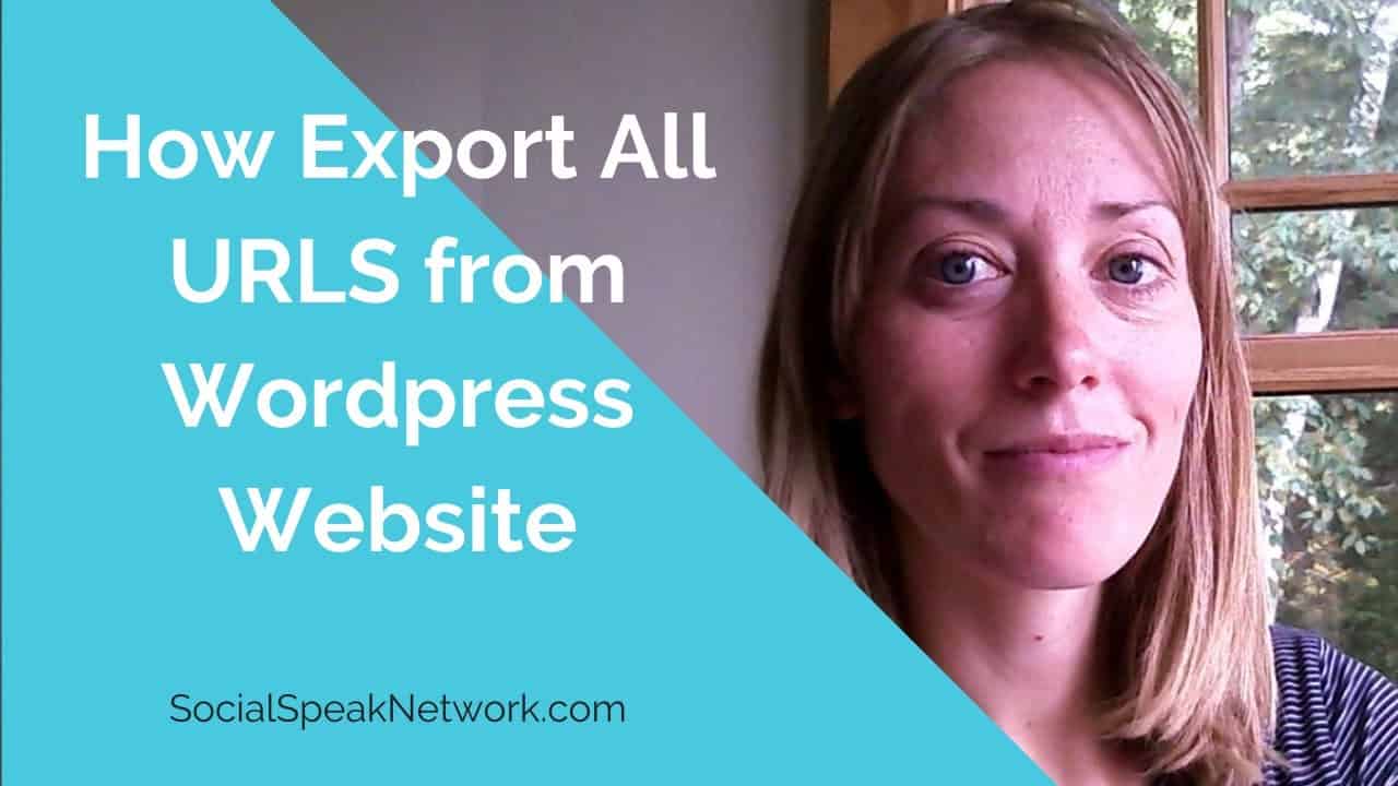 How to Export All URLs from a Wordpress Website - Wordpress Tutorial