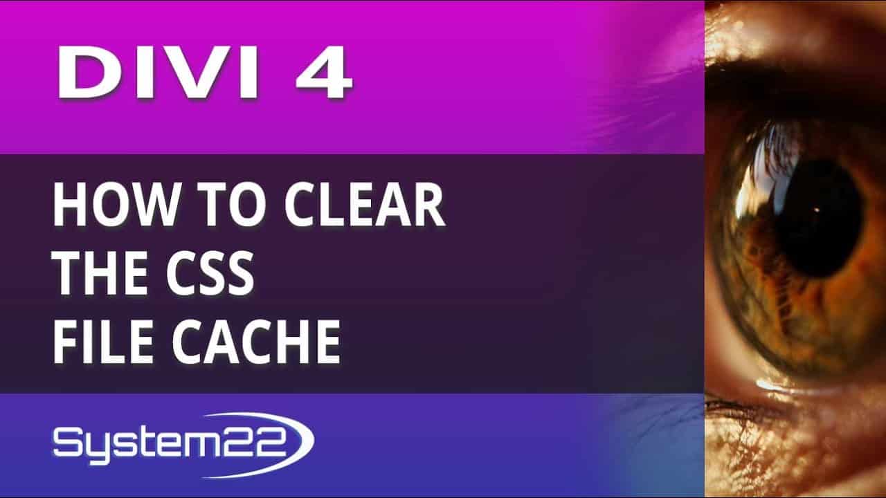 Divi 4 How To Clear The CSS File Cache