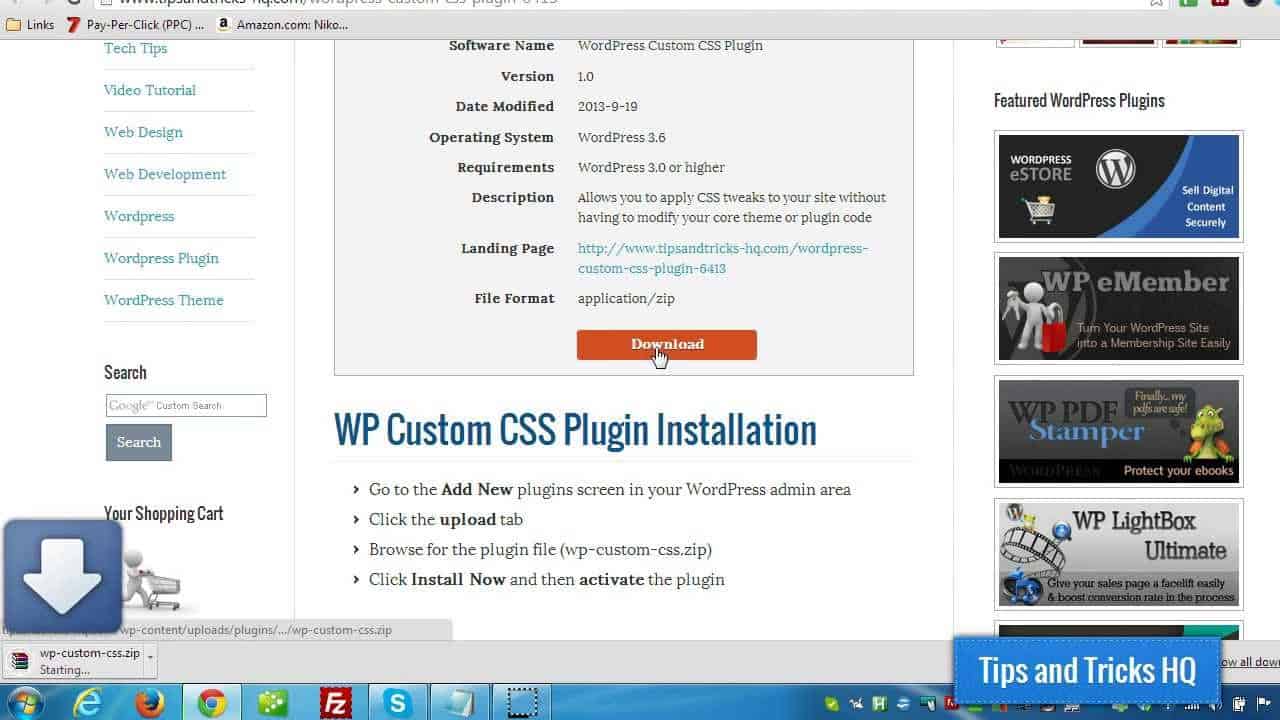WordPress Custom CSS Plugin Usage