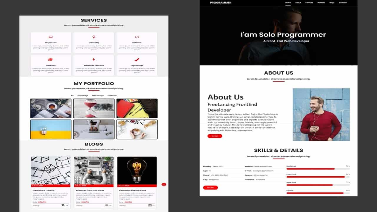 (Demo) Personal Portfolio Website Using only HTML CSS and JS | Website | Solo Programmer | #ssp