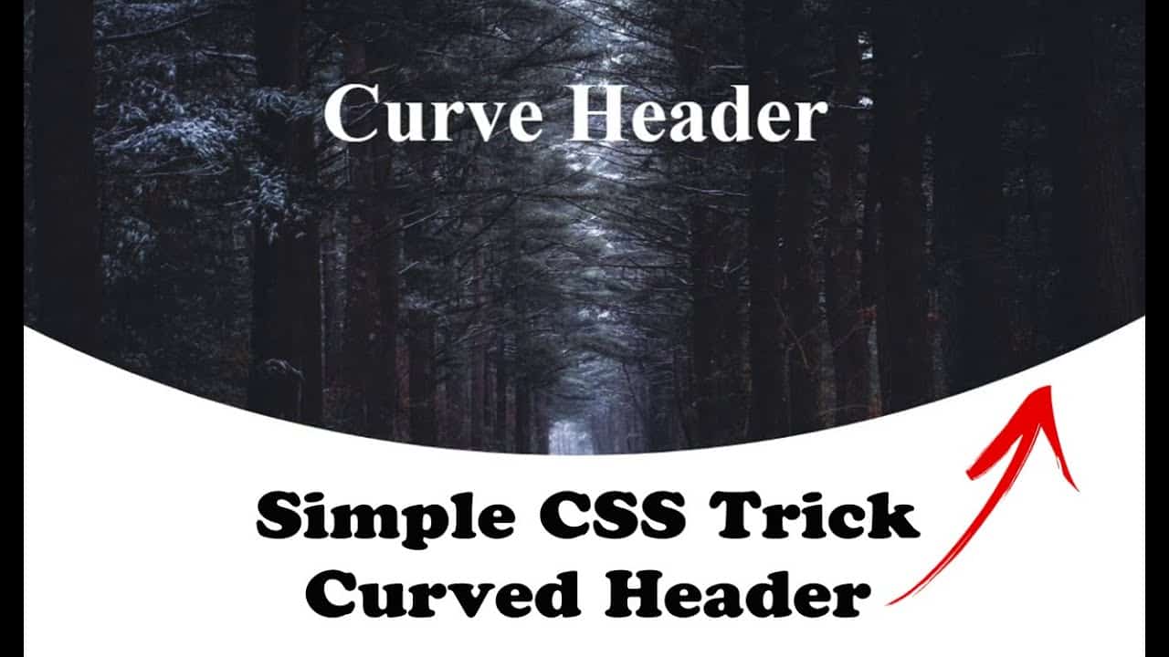 How to Make Curved Header Using HTML and CSS | Simple CSS Trick | Dr Spieler Official