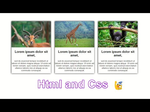 How to Create Post Cards  Using HTML and CSS | box Contents text with image