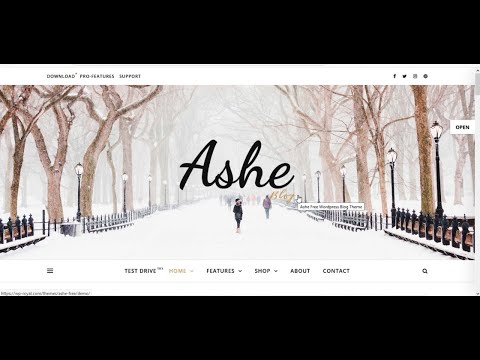 How to Make a Professional WordPress Blog Website with Free Theme Step by Tutorial [For Beginners]