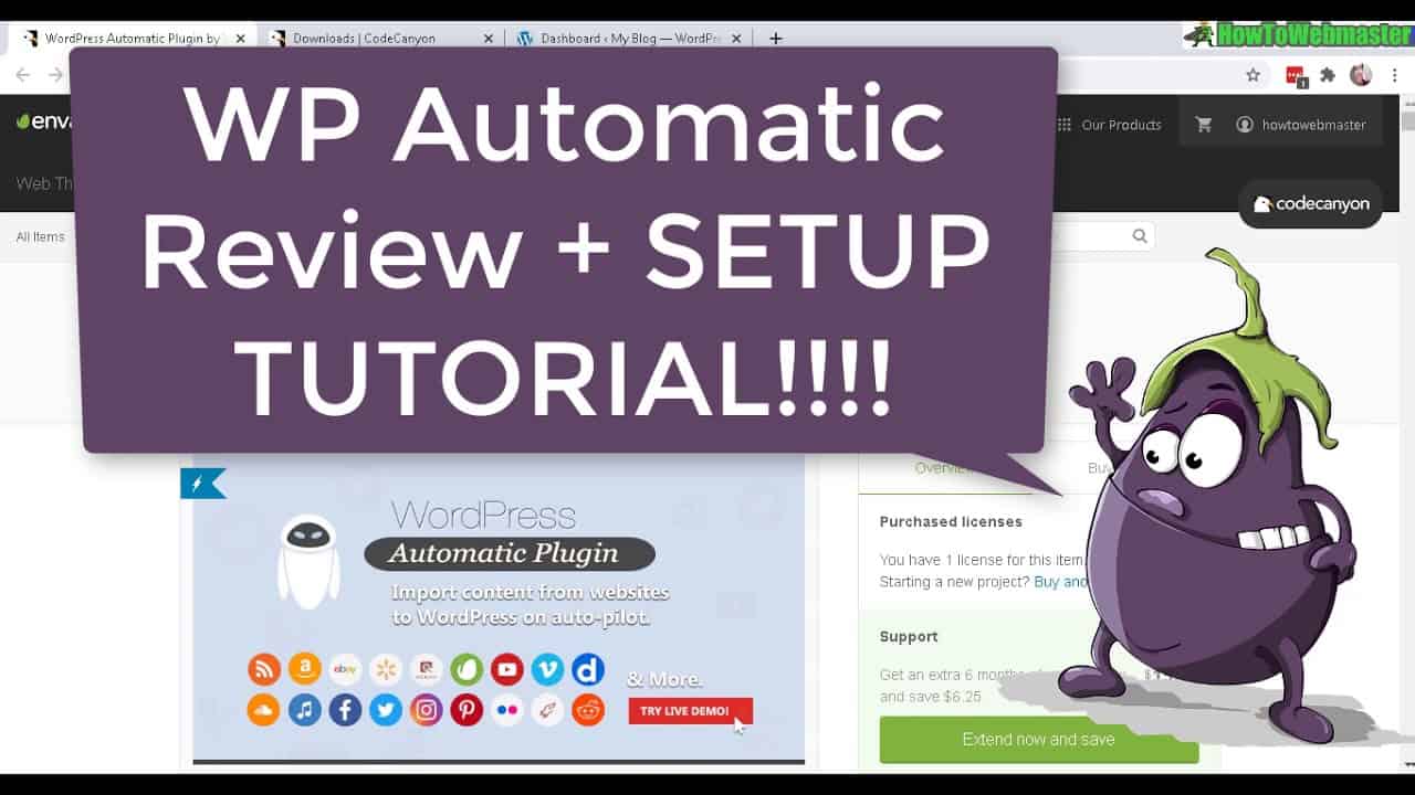 ValvePress WP Automatic Plugin Review + Setup Tutorial - Automated Wordpress Blogging