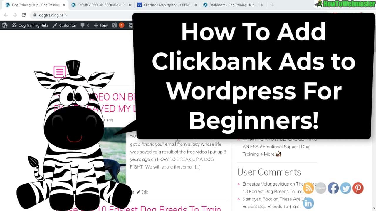 Beginner Tutorial: How to Find & Add Clickbank Affiliate Ads to Wordpress