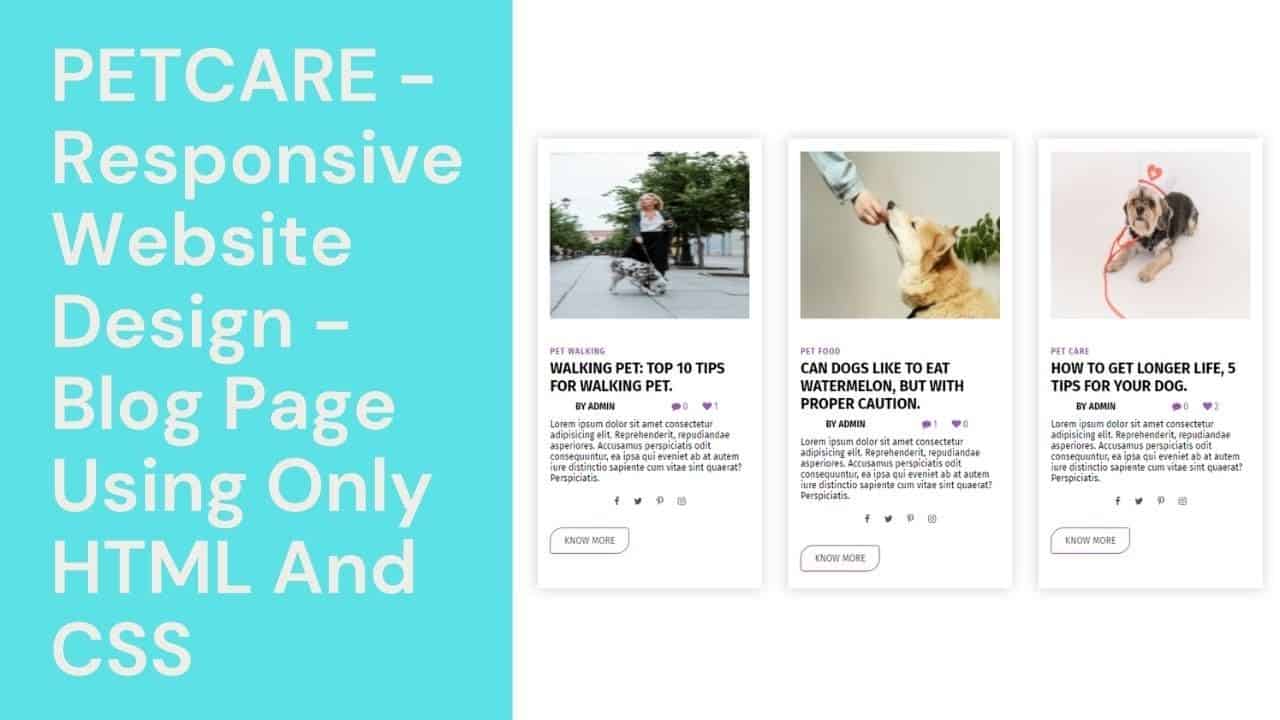 PetCare - Responsive Website Design - Blog Page Using Only HTML And CSS || WebMode