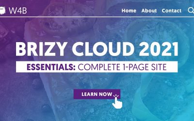 Do It Yourself – Tutorials – Brizy Cloud 2021 Essentials 4 Beginners | Make a website in Brizy Cloud from scratch! Step by Step.