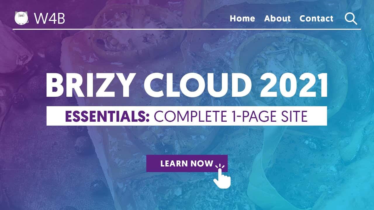 Brizy Cloud 2021 Essentials 4 Beginners | Make a website in Brizy Cloud from scratch! Step by Step.