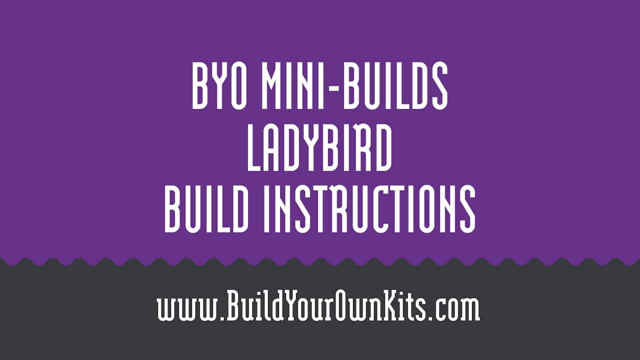 Ladybird Instructions | Build Your Own Mini-Builds