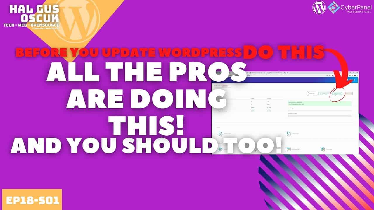 ALL the PROS are doing THIS! Before Updating Wordpress and you should too!! Wordpress 5.9 Fireproof