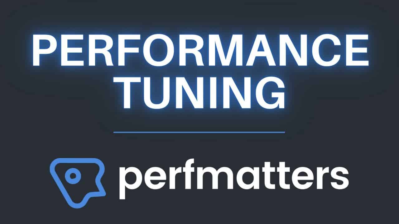 How to Fine-Tune WordPress Performance with the Perfmatters Plugin