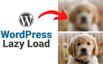 How To Add Lazy Loading To WordPress