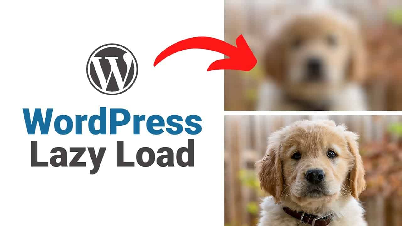 How To Add Lazy Loading To WordPress